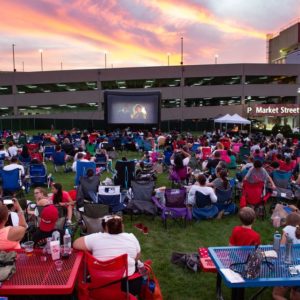 Movies On The Lawn