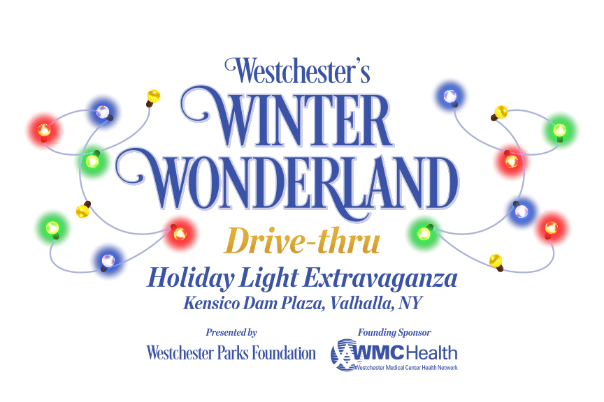 11-27-2021-Winter Wonderland